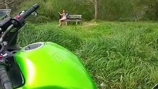 brunoymaria Maria pajeandose en el campo con chicos mirones