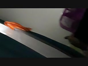 Shasha Galapati Manantan Catuiza
